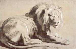 Estudio De León — Pedro Pablo Rubens