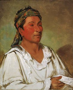 Lay Lóo Ah Pee Ái Shee Kaw, Hierba, Arbusto Y Flor, Semicivilizada — George Catlin