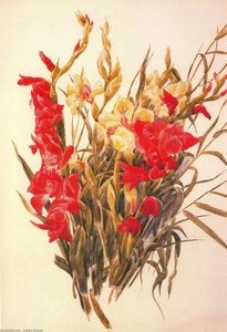 Red And Yellow Gladioli — Charles Demuth