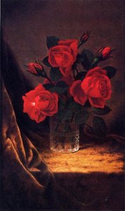 Jaqueminot Roses 1 — Martin Johnson Heade