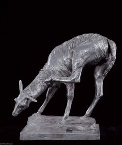 Llama — Anna Vaughn Hyatt Huntington