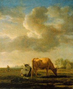 Cows On A Meadow — Adriaen Van De Velde