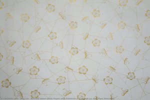 Refined Hand-made Paper With Patterns Of Cracked Ice And Plum Blossoms — Jing Liu