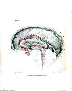 Untitled (arcvfk) — Charles Bell