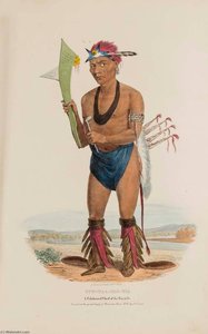 Cut Taa Tas Tia A Celebrated Chief Of The Fox Tribe, From The Aboriginal Portfolio — James Otto Lewis