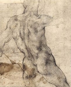 Male Nude, Seen From The Rear (recto) — Michelangelo Buonarroti