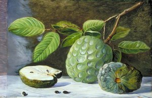 Foliage En Fruit Van De Cherimoyer — Marianne North