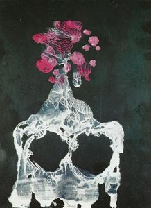Die Wirbeltierhöhle - Transfer-serie — Salvador Dalí