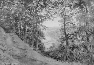 A Hillside Path Near Brantwood — Joseph Arthur Palliser Severn