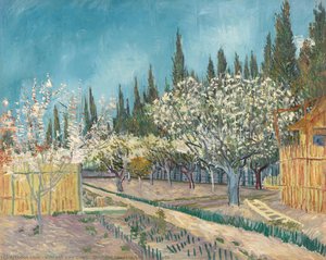 Orchard Bordered By Cypresses — Vincent Willem Van Gogh