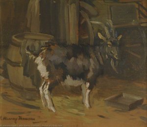 Sketch Of A Billy Goat — John Murray Thomson