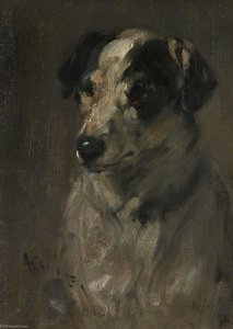 Head Of A Jack Russell Terrier — Robert L Alexander