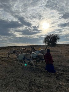 Children Helping — Vibhor Yadav