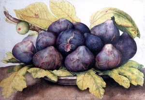 Plate Of Figs — Giovanna Garzoni