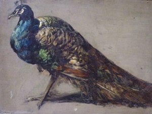 Study Of A Peacock For 'the Judgement Of Paris' — William Etty