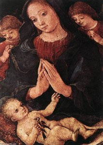 Madonna Del Cardellino — Liberale Da Verona