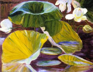 Lotus Flowers [oya, Japan] — Lilla Cabot Perry