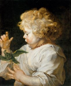Drengen Med Fuglen — Peter Paul Rubens