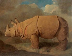Rhinoceros — George Stubbs