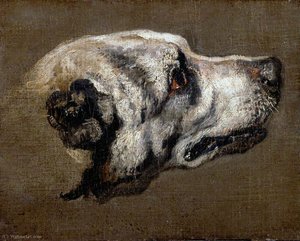 Head Of A Hound — Boel Pieter (boule)