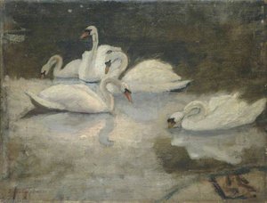 Swans — Susan Isabel Dacre