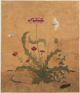 Grass And Insects — Shin Saimdang