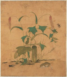 Grass And Insects — Shin Saimdang