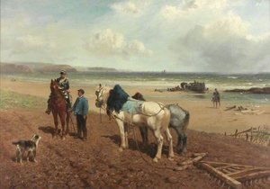 The Story Of The Wreck — Richard Beavis