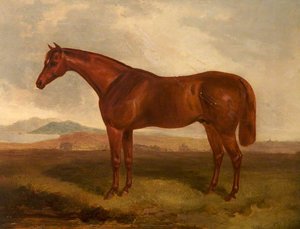 A Chestnut Hunter In A Field — Sr John E Ferneley