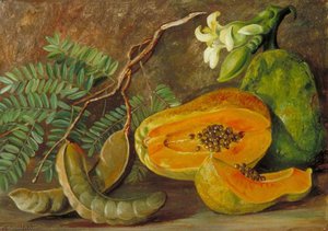 Foliage And Fruit Of The Tamarind, And Flowers And Fruit Of The Papaw In Java — Marianne North