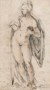 Study Of A Female Nude (venus In A Drapery) — Bartholomeus Spranger