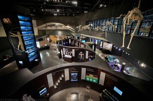 Travel To The Human Body — Parque De Las Ciencias De Granada