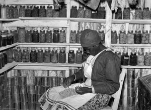 Jorena Pettway Sorting Peas Inside Her Smokehouse. She Still Has Many Fruits And Vegetables, Which She Canned Last Year, On The Shelves Around Her. Gee's Bend, Alabama — Marion Post Wolcott