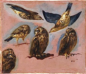 Trois Hiboux Et Trois Autres Oiseaux — Boel Pieter (boule)