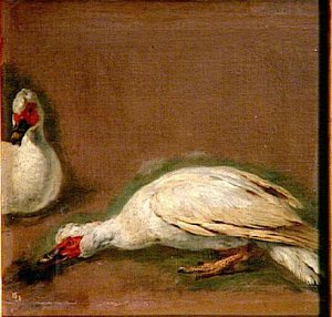 Canards Blancs — Boel Pieter (boule)