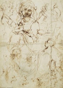 Studiu Pentru Madonna Cu Coș De Fructe — Leonardo Da Vinci