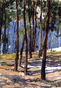 Die Kiefern Von Galicien — Joaquín Sorolla Y Bastida