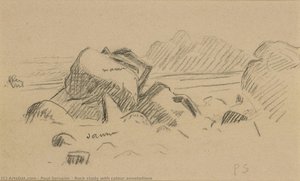 Rock Study With Colour Annotations — Paul Sérusier
