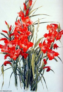Gladiolus — Charles Demuth