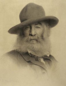 Walt Whitman — Thomas Wilmer Dewing