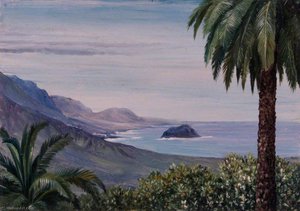 Near Echod, Teneriffe — Marianne North