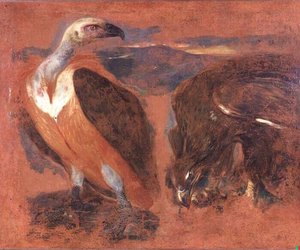 Un Vautour Et Un Aigle — Boel Pieter (boule)
