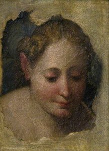 Head Of A Woman — Niccolò Dell' Abbate