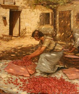 Packing Cherries In Provence, France — Henry Herbert La Thangue