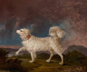 Portrait Of A Dog — Charles Henry Schwanfelder