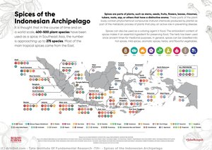 Spices Of The Indonesian Archipelago — Tata Institute Of Fundamental Research (tifr)