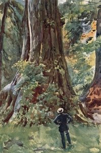 The Big Tree — Harold Copping
