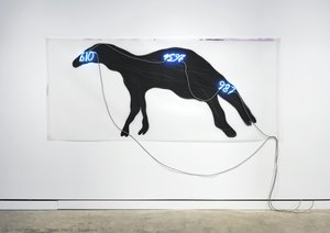 Untitled — Mario Merz