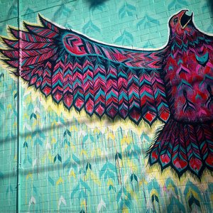 Red Tail Hawk Mural — Jason Pawley