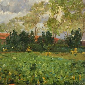 Alentejano Vegetable Patch — Henrique César De Araújo Pousão